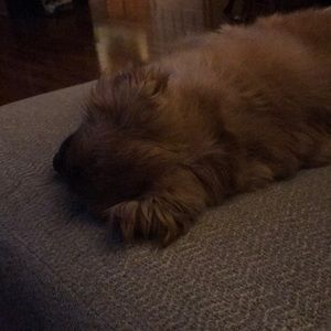 Meet your Posher, Michelle